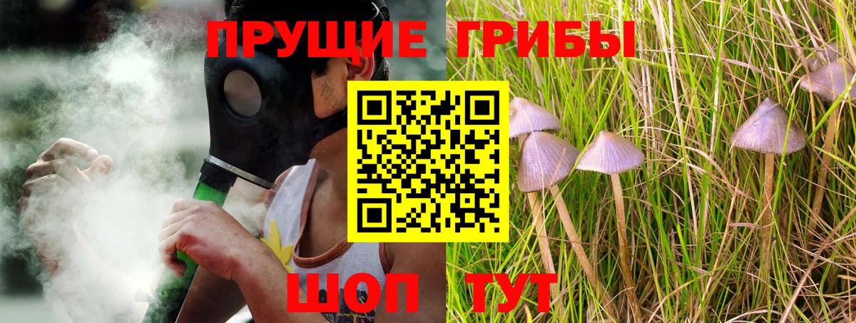Псилоцибиновые грибы Cubensis Узловая